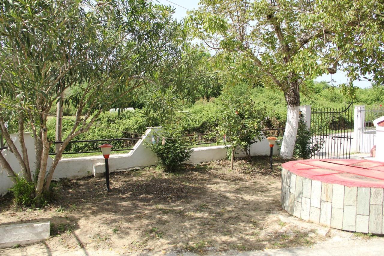 Apartamento Wilson & Andrew House - Wanderlust Avliótes Exterior foto